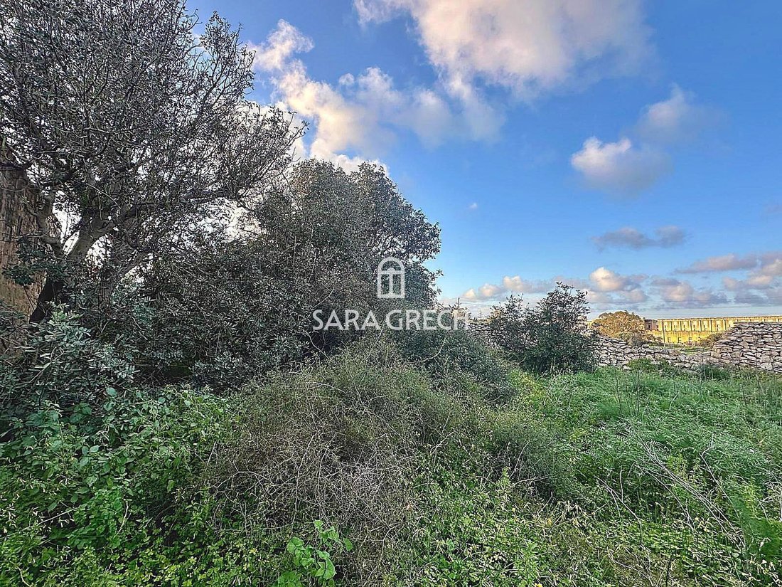 House in Naxxar, Malta 5 - 14642523