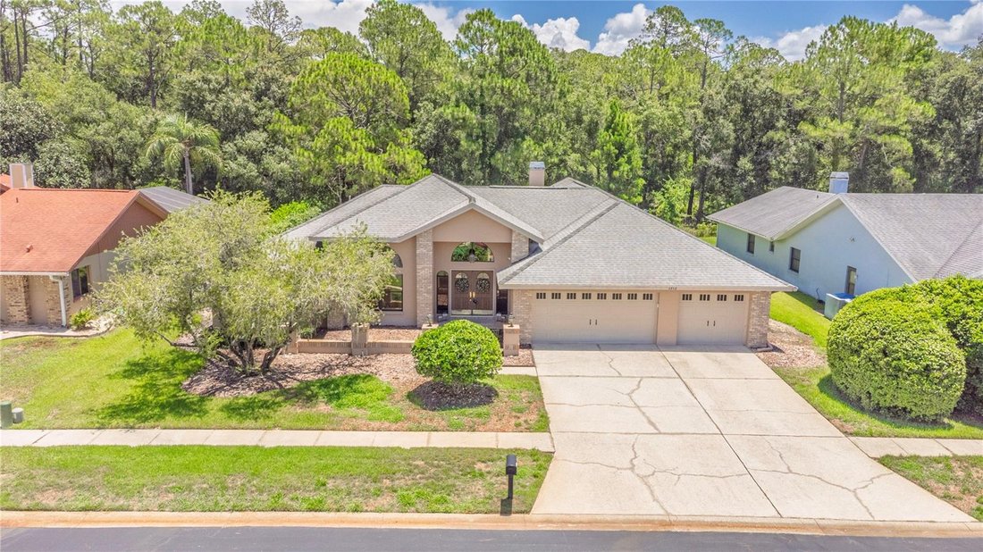 House in Palm Harbor, Florida, United States 1 - 18428436