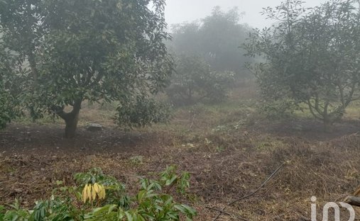 Terrain à Tochintlán, État d'Hidalgo, Mexique 1