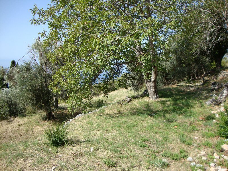 Land in Budva, Budva Municipality, Montenegro 4 - 18430344