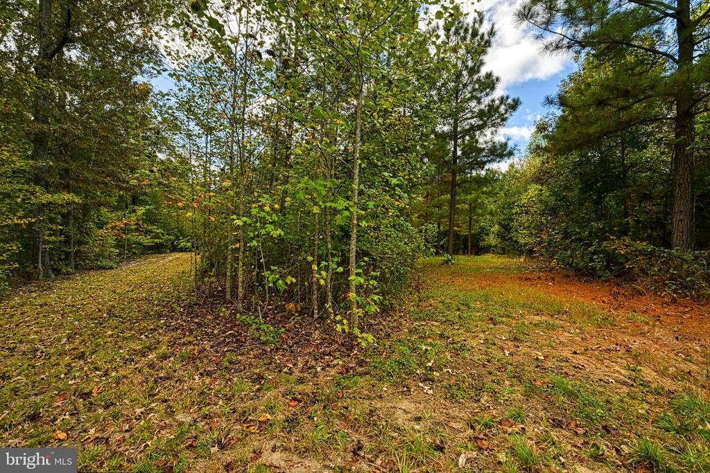 Land in Mineral, Virginia, United States 5 - 16754295