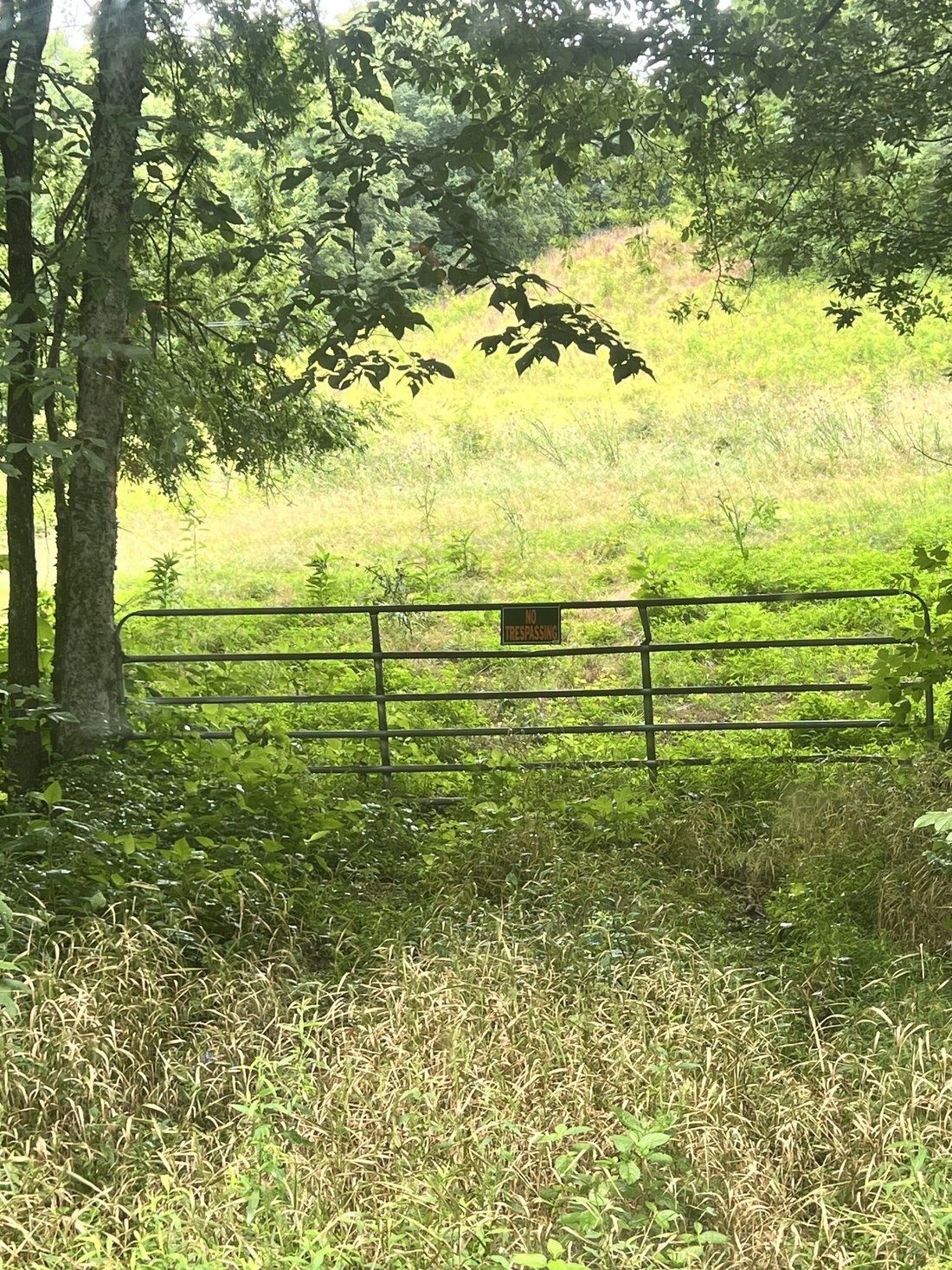 House in Frankewing, Tennessee, United States 2 - 18431684