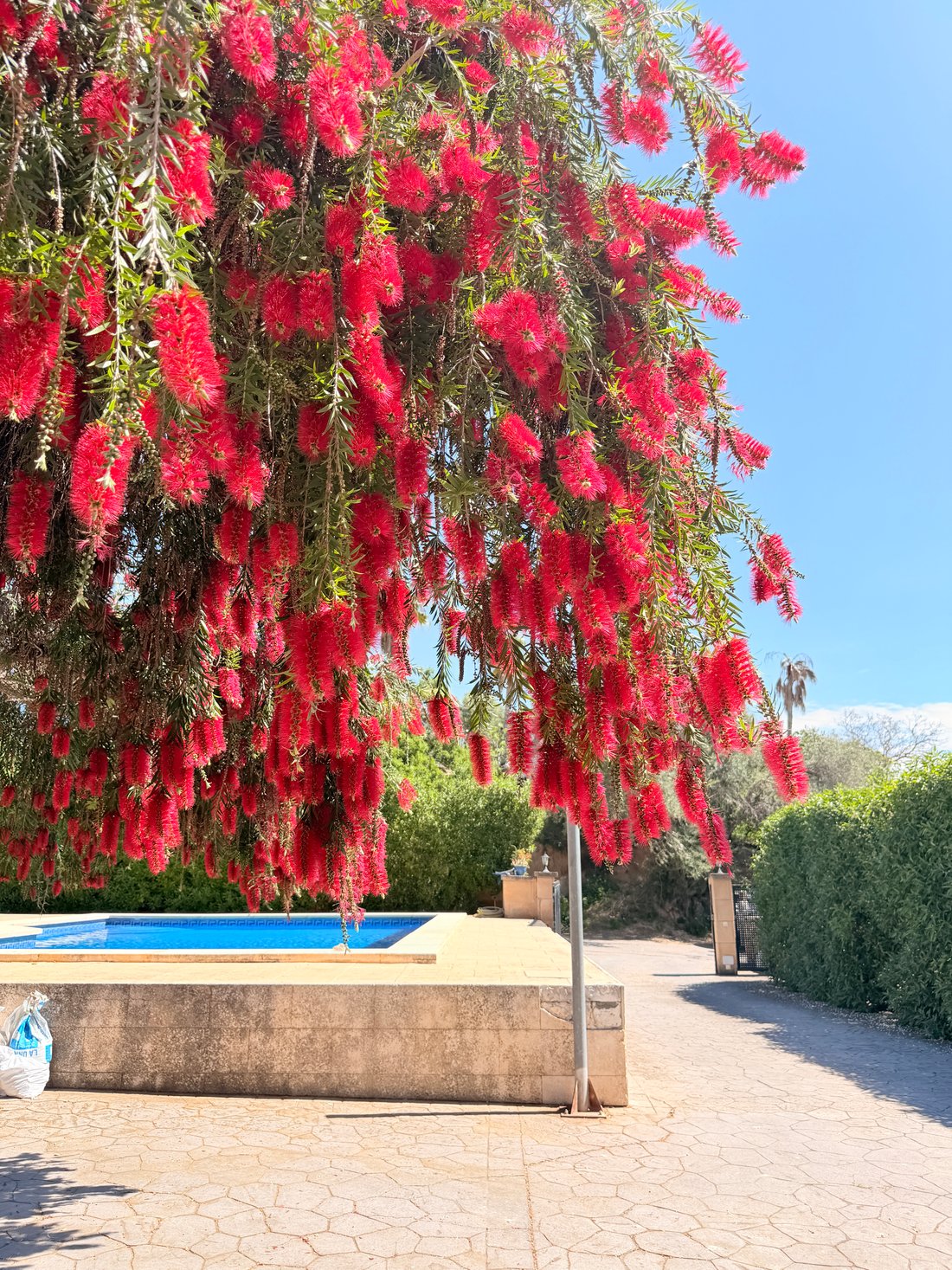 Townhouse in Calvia, Balearic Islands, Spain 5 - 18433817