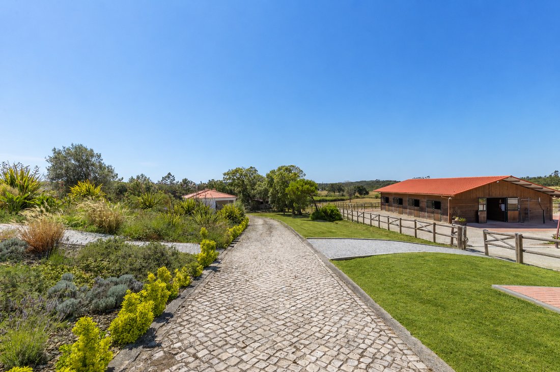 Country House in Santa Maria, Sao Pedro e Sobral da Lagoa, Leiria District, Portugal 5 - 18434434