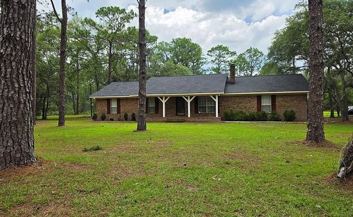 Farm Ranch in Blackshear, Georgia, United States 1