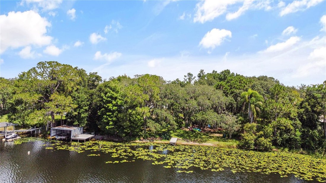 House in Oviedo, Florida, United States 4 - 18433890