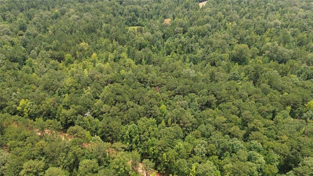 Land in Auburn, Alabama, United States 3 - 18433918