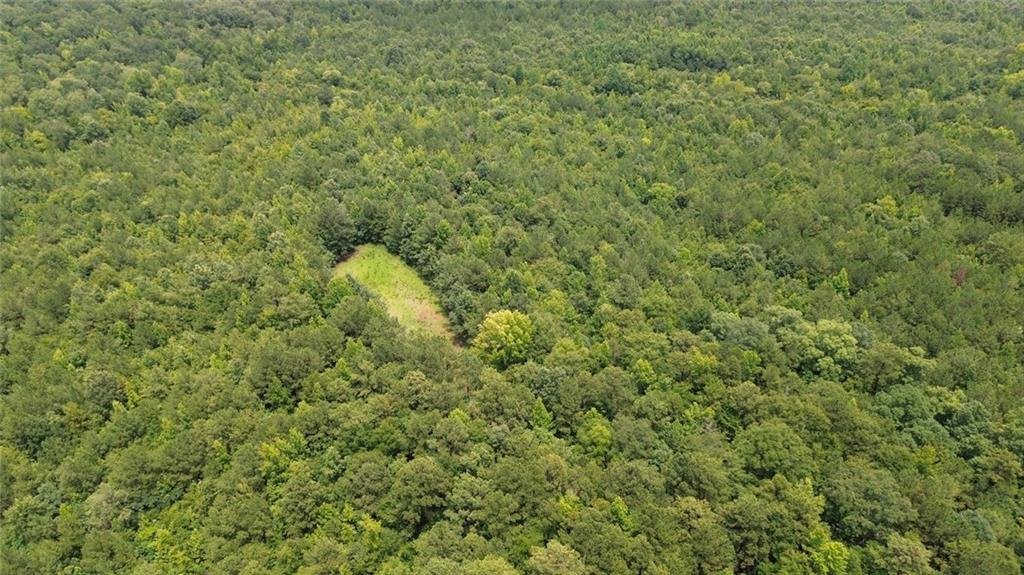 Land in Auburn, Alabama, United States 4 - 18433923