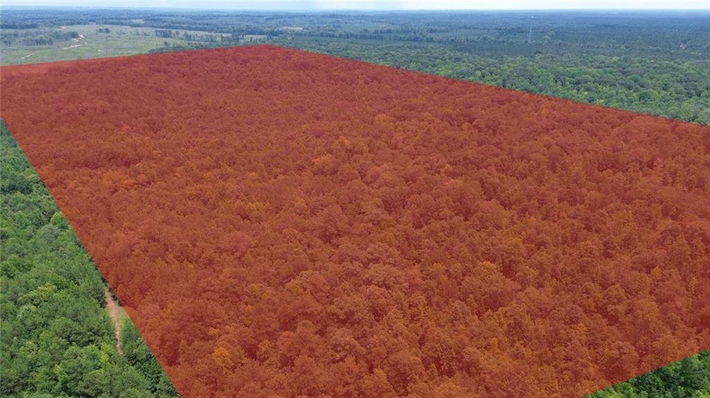 Land in Auburn, Alabama, United States 1 - 18433918