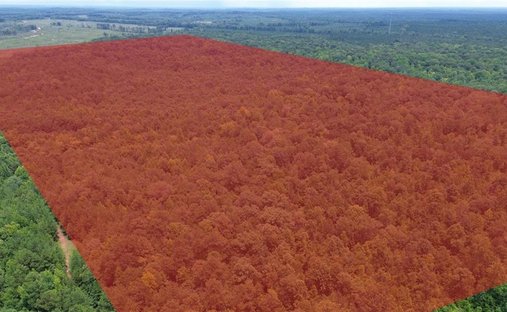 Land in Auburn, Alabama, United States 1