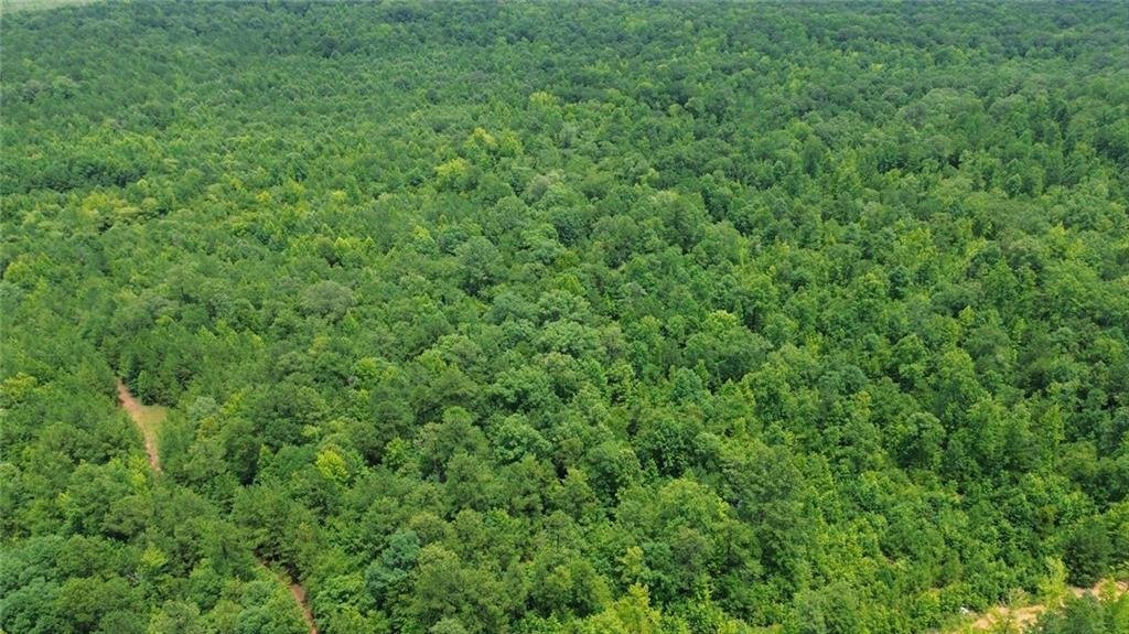 Land in Auburn, Alabama, United States 5 - 18433923