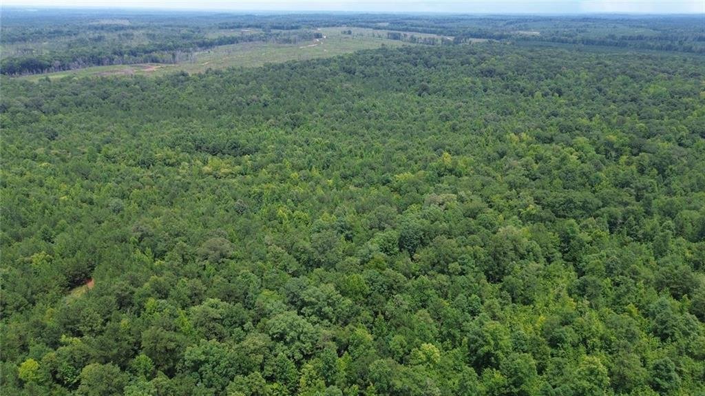 Land in Auburn, Alabama, United States 4 - 18433918