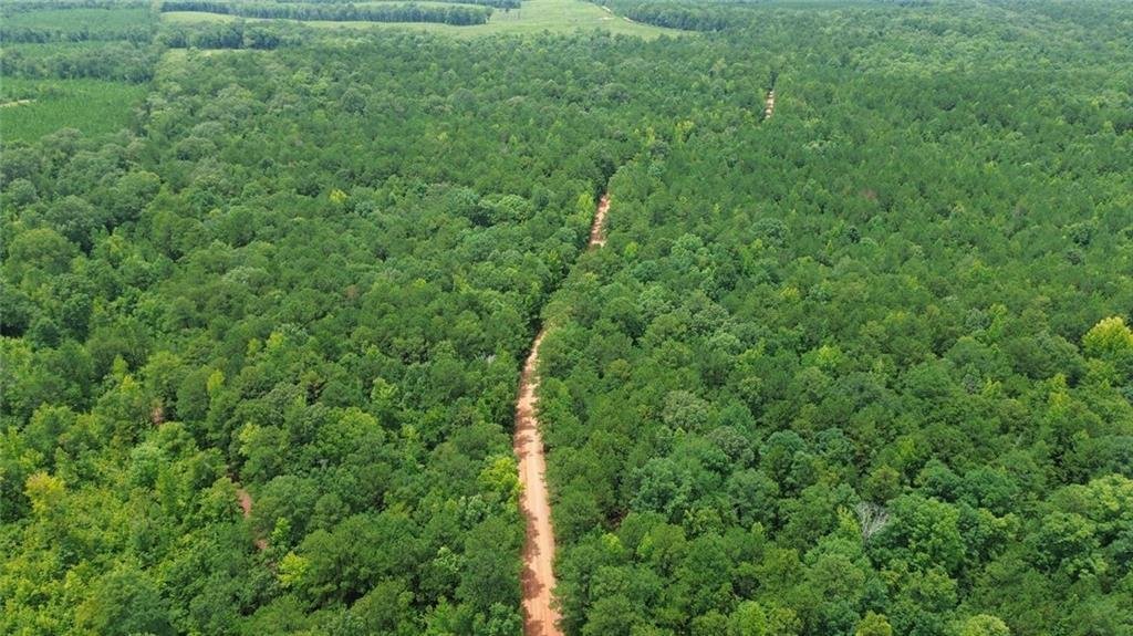 Land in Auburn, Alabama, United States 3 - 18433923