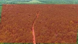 Land in Auburn, Alabama, United States 1 - 18433923
