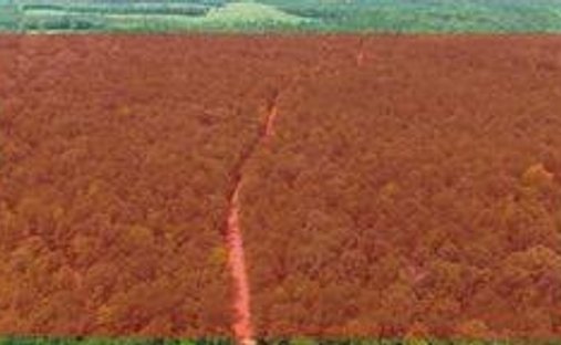 Land in Auburn, Alabama, United States 1