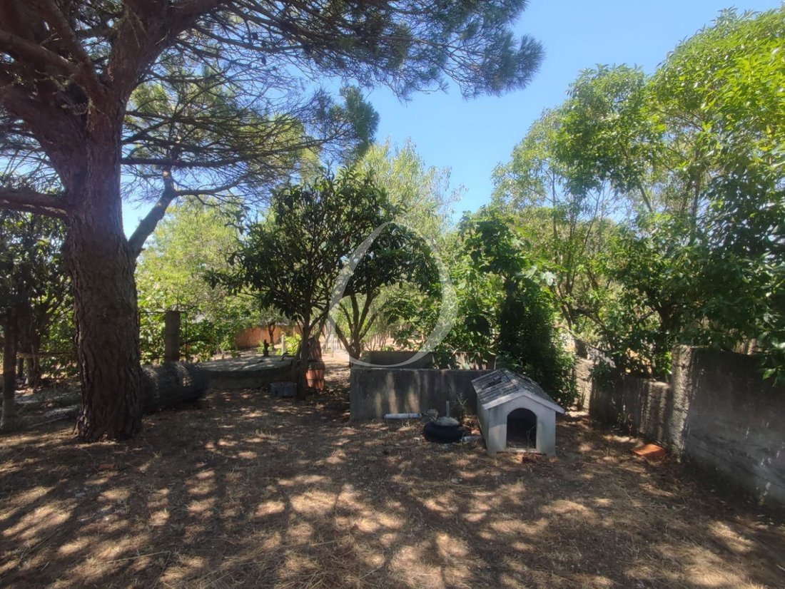 Villa in Cascais e Estoril, Lisbon, Portugal 4 - 18433733
