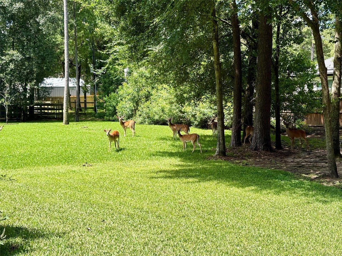Casa a Magnolia, Texas, Stati Uniti 5 - 18434048