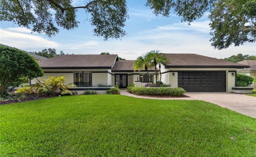 House in Tampa, Florida, United States 1