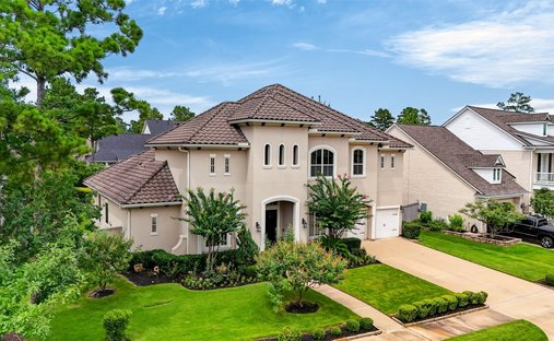 House in Spring, Texas, United States 1