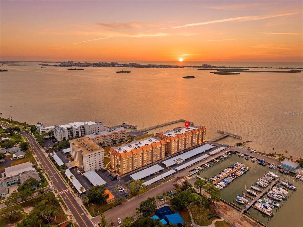 Condo in Dunedin, Florida, United States 2 - 18434479