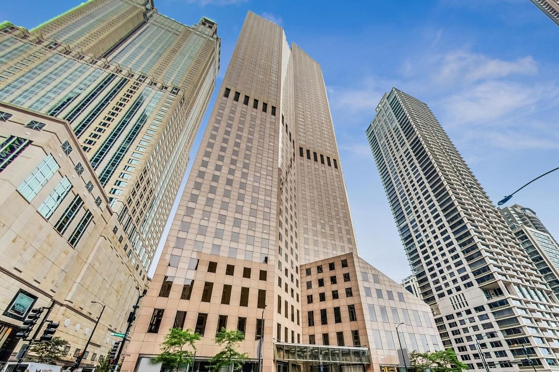 Condo in Chicago, Illinois, United States 1 - 18434543