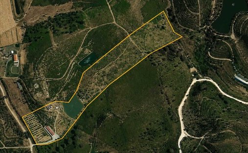 Azienda agricola a Mexilhoeira Grande, Algarve, Portogallo 1