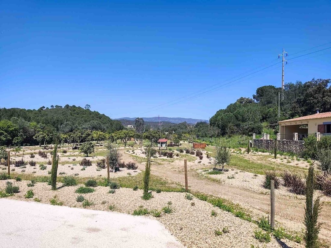 Farm Ranch in Mexilhoeira Grande, Algarve, Portugal 2 - 18434497