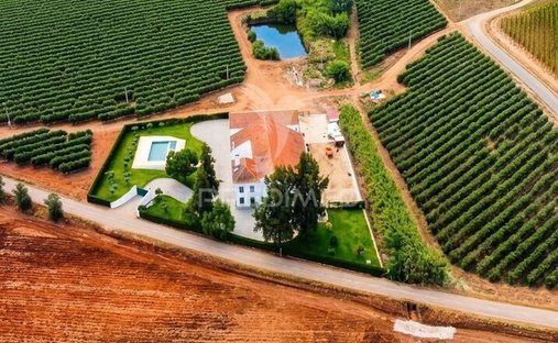 Rancho en Pedrógão, Distrito de Beja, Portugal 1