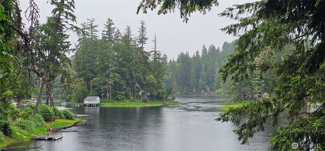 House in Olympia, Washington, United States 2 - 18043705