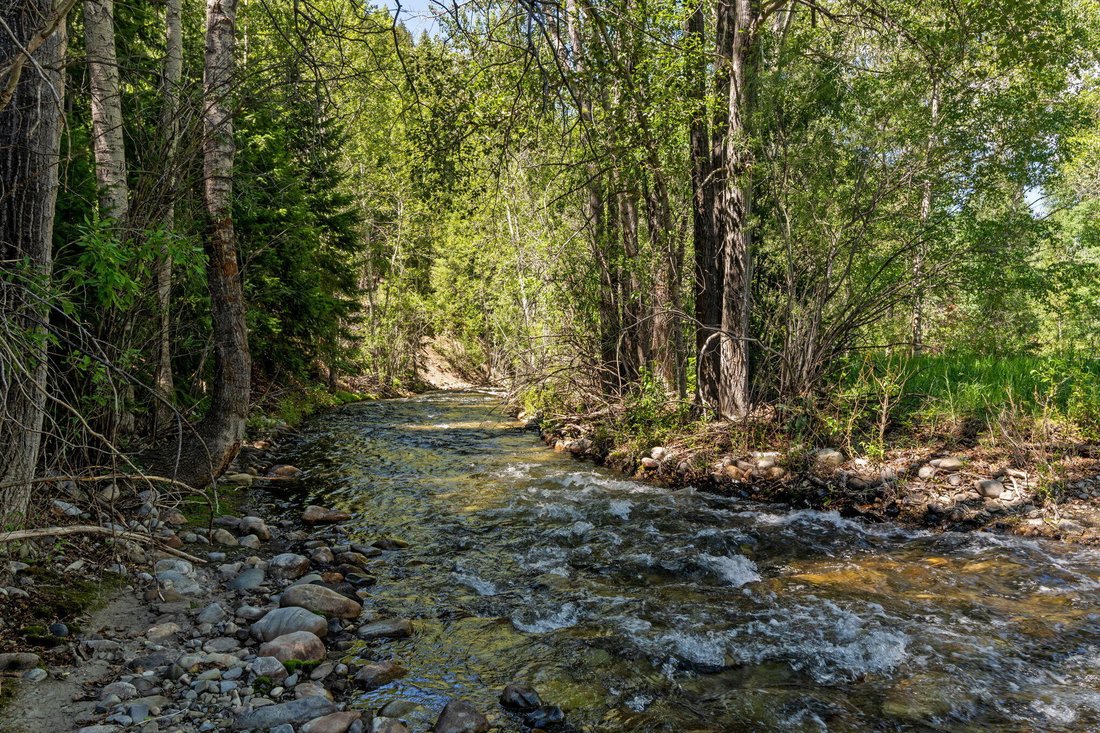 House in Ketchum, Idaho, United States 4 - 18434550