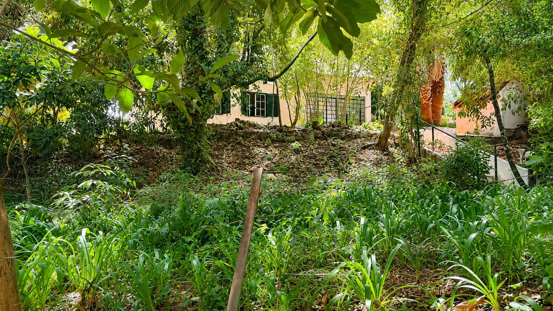 Estate in Sintra, Lisbon, Portugal 1 - 18435539