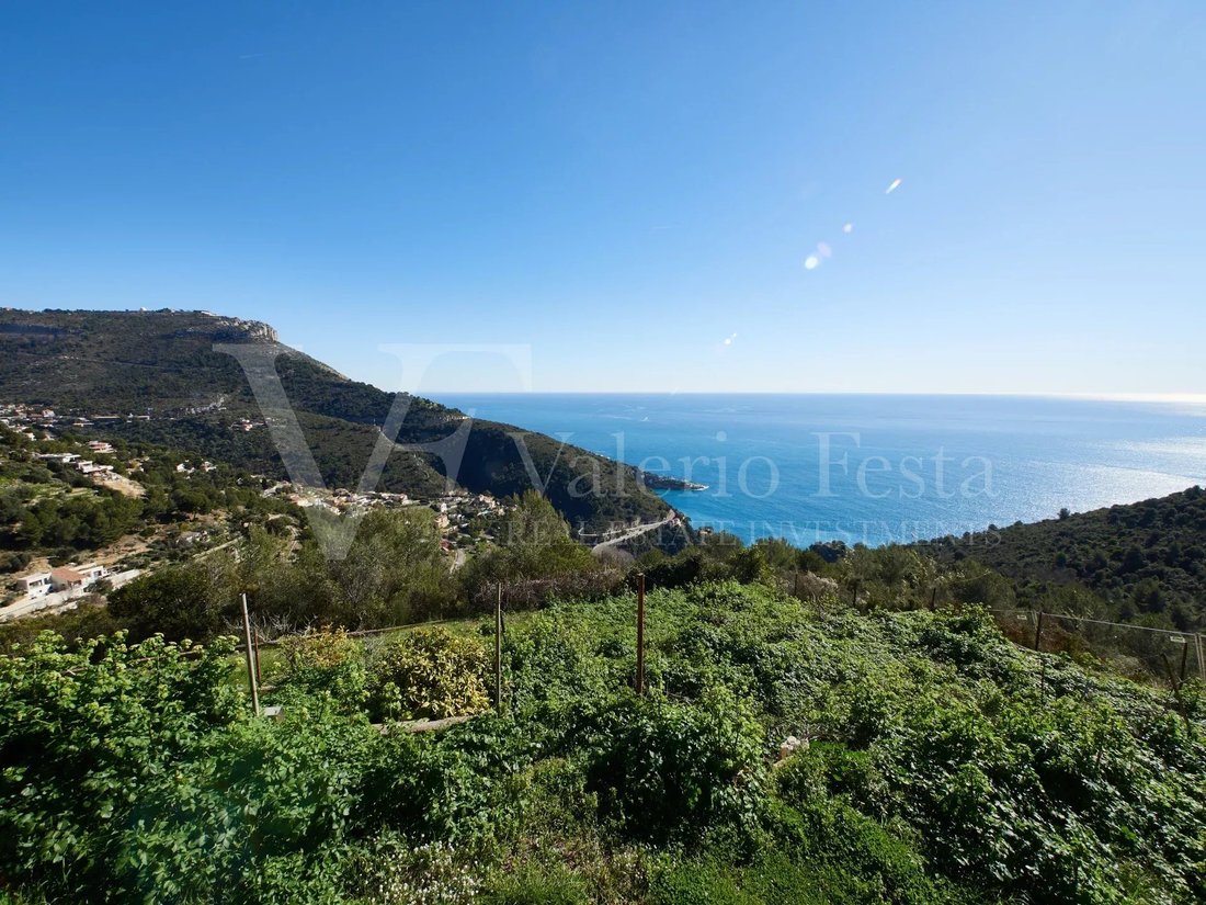 Land in Èze, Provence-Alpes-Côte d'Azur, France 3 - 18436025