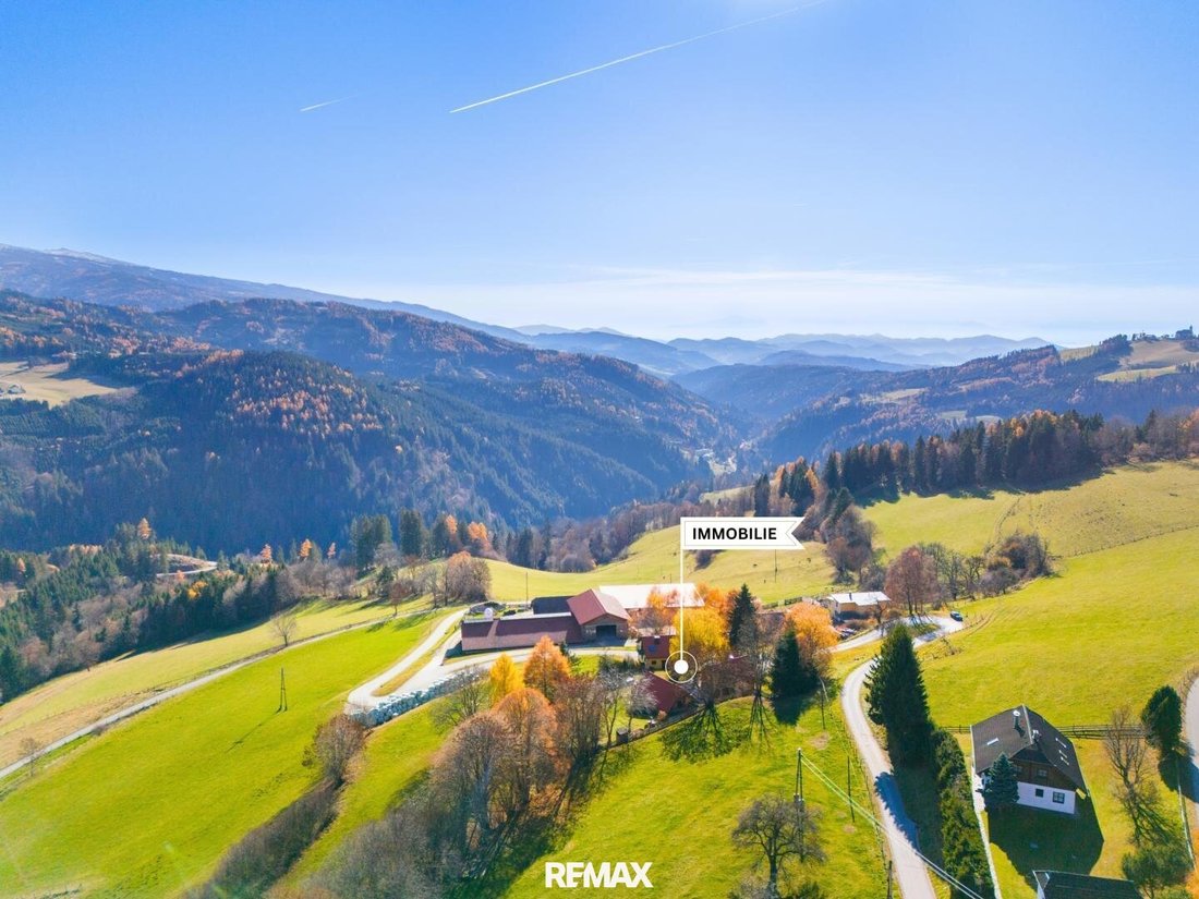 Country House in Hüttenberg, Carinthia, Austria 2 - 18435120