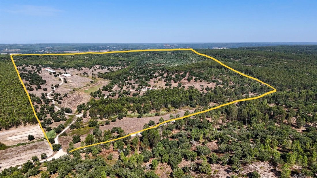 Finca a Almeirim, Distretto di Santarém, Portogallo 2 - 18435884