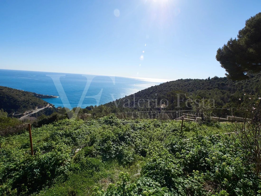 Land in Èze, Provence-Alpes-Côte d'Azur, France 2 - 18436025