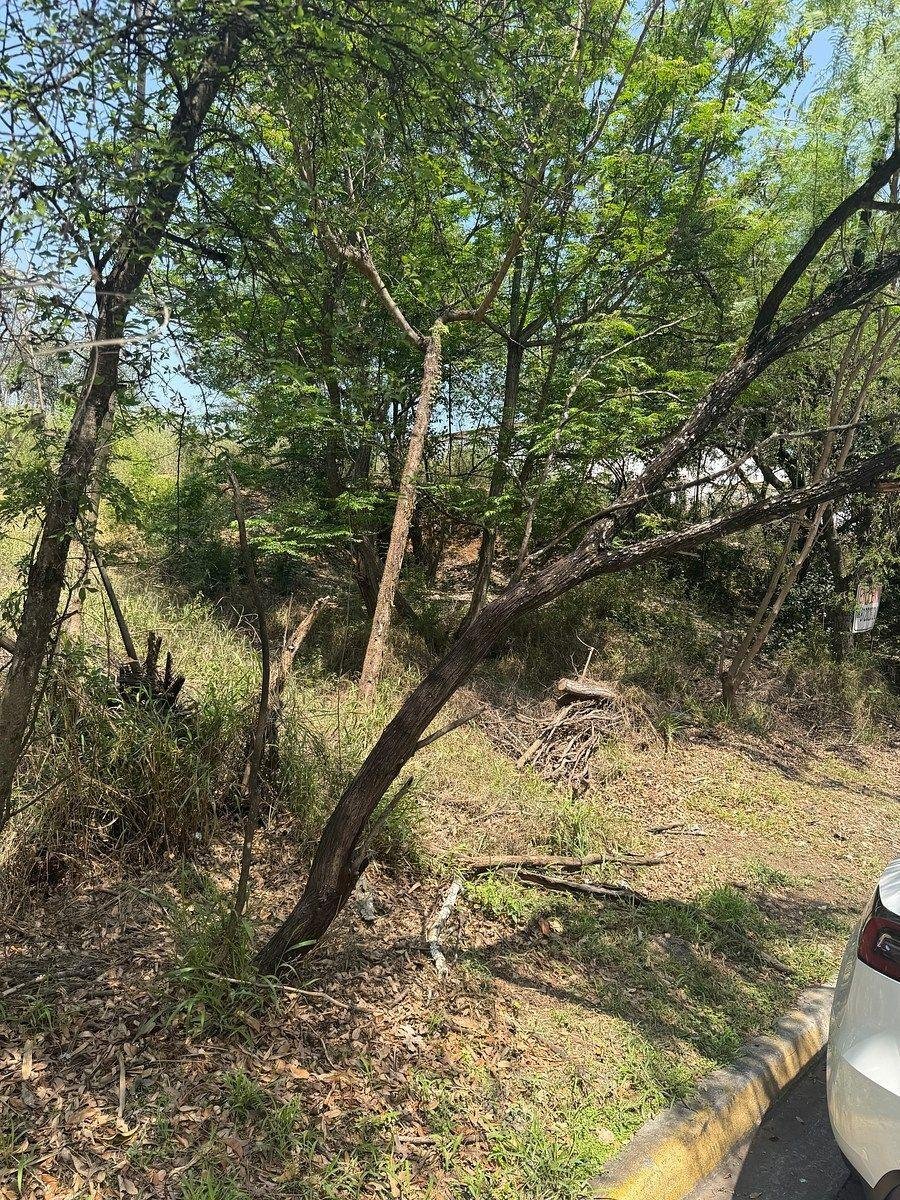 Land in Monterrey, Nuevo Leon, Mexico 2 - 18438383