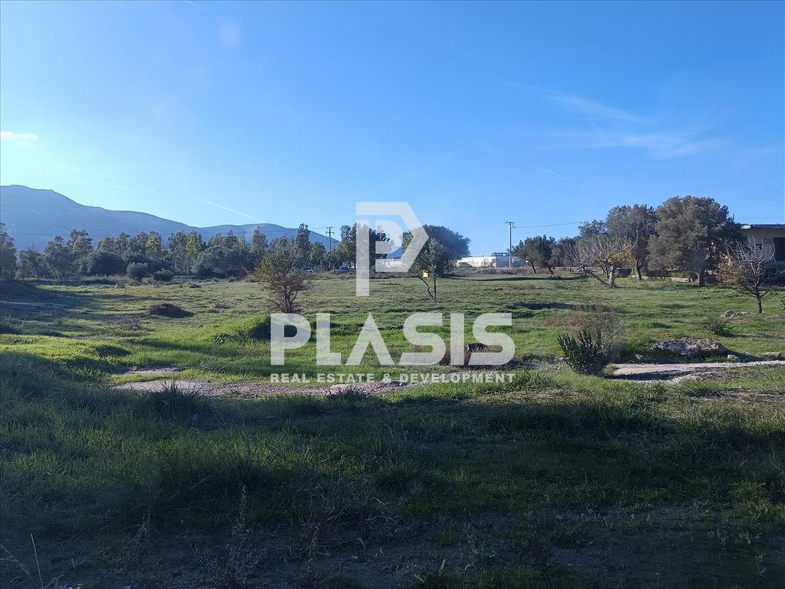 Land in Keratea, Attica, Greece 2 - 18437011