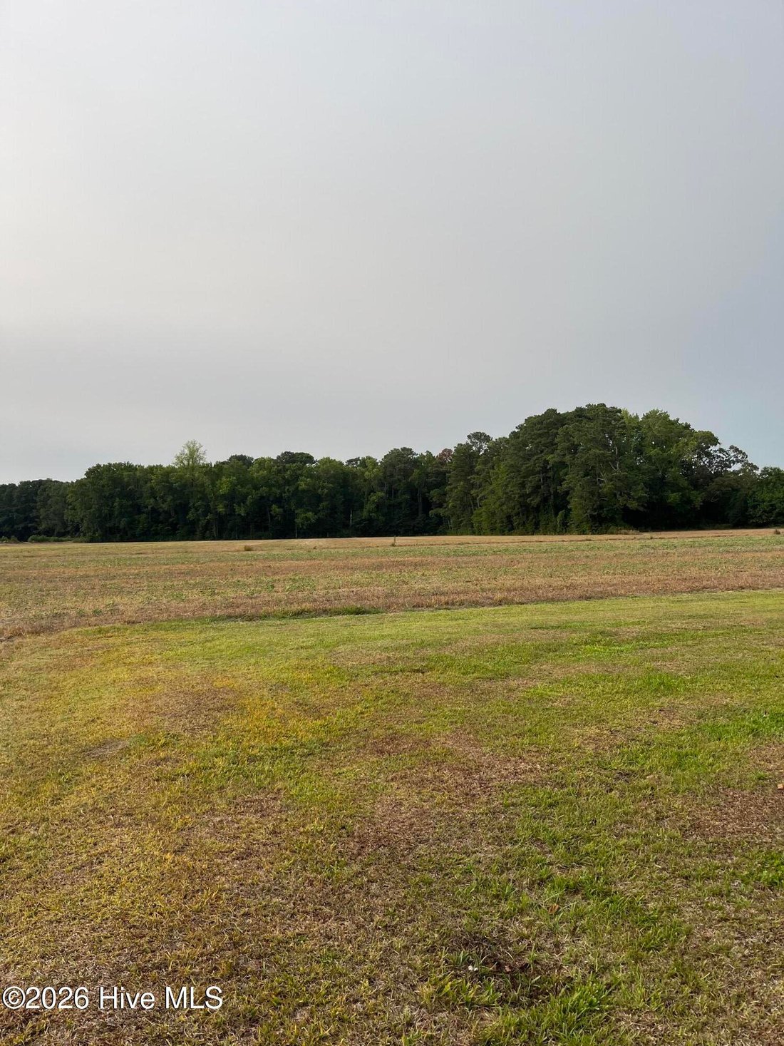 Land in Greenville, North Carolina, United States 5 - 18440534