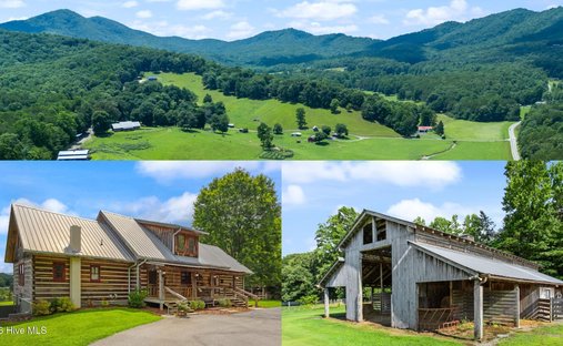 House in Warne, North Carolina, United States 1