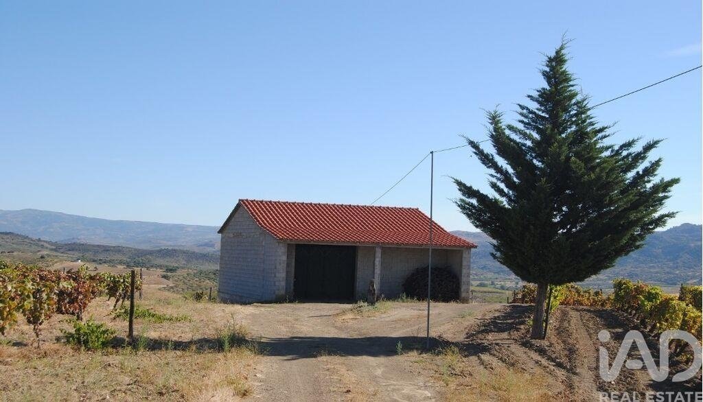 Land in Vila Flor e Nabo, Braganca District, Portugal 2 - 18435220