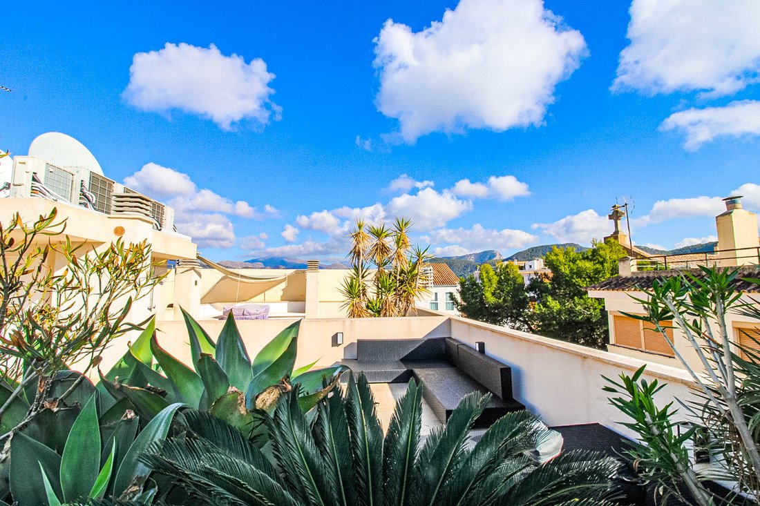 Apartment in Port d'Andratx, Andratx, Balearic Islands 1 - 17904823