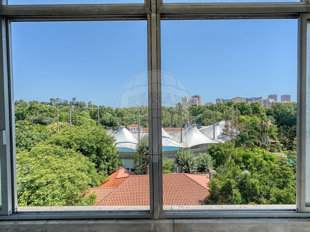 Apartment in Sao Domingos de Benfica, Lisbon, Portugal 1 - 18438147