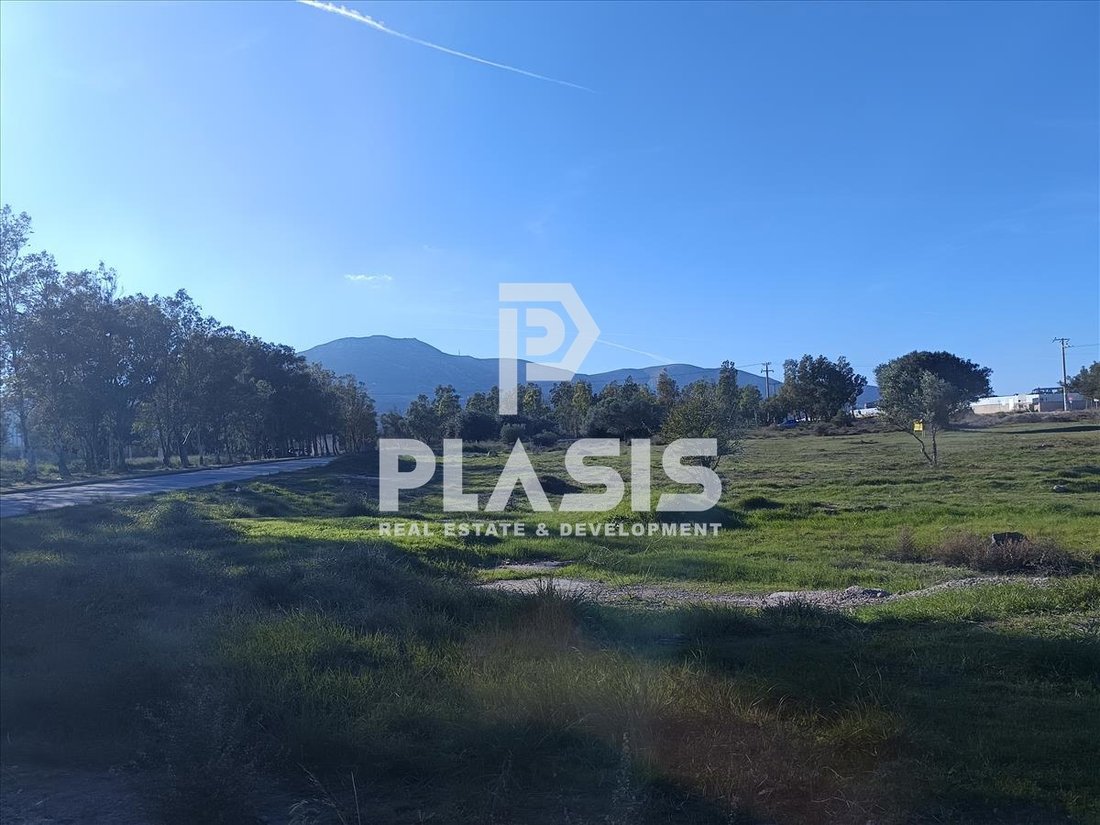 Land in Keratea, Attica, Greece 5 - 18437011