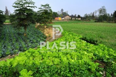 Land in Marathonas, Attica, Greece 4 - 18436852