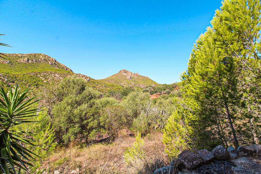 Finca in Andratx, Balearic Islands, Spain 4 - 17904455