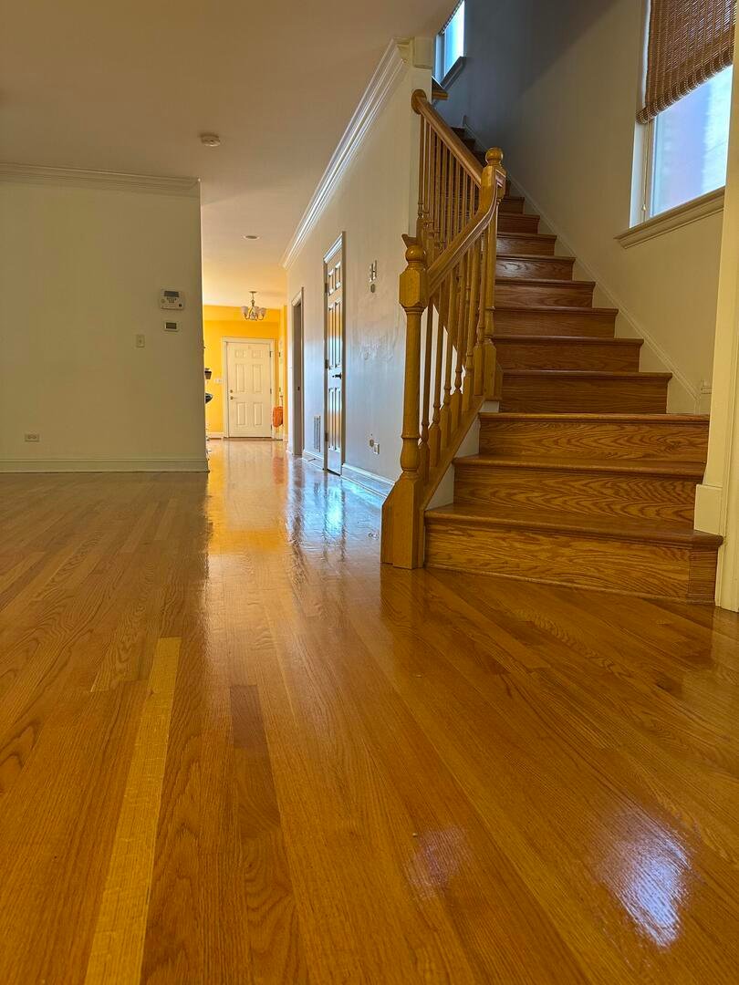 House in Chicago, Illinois, United States 4 - 18437337