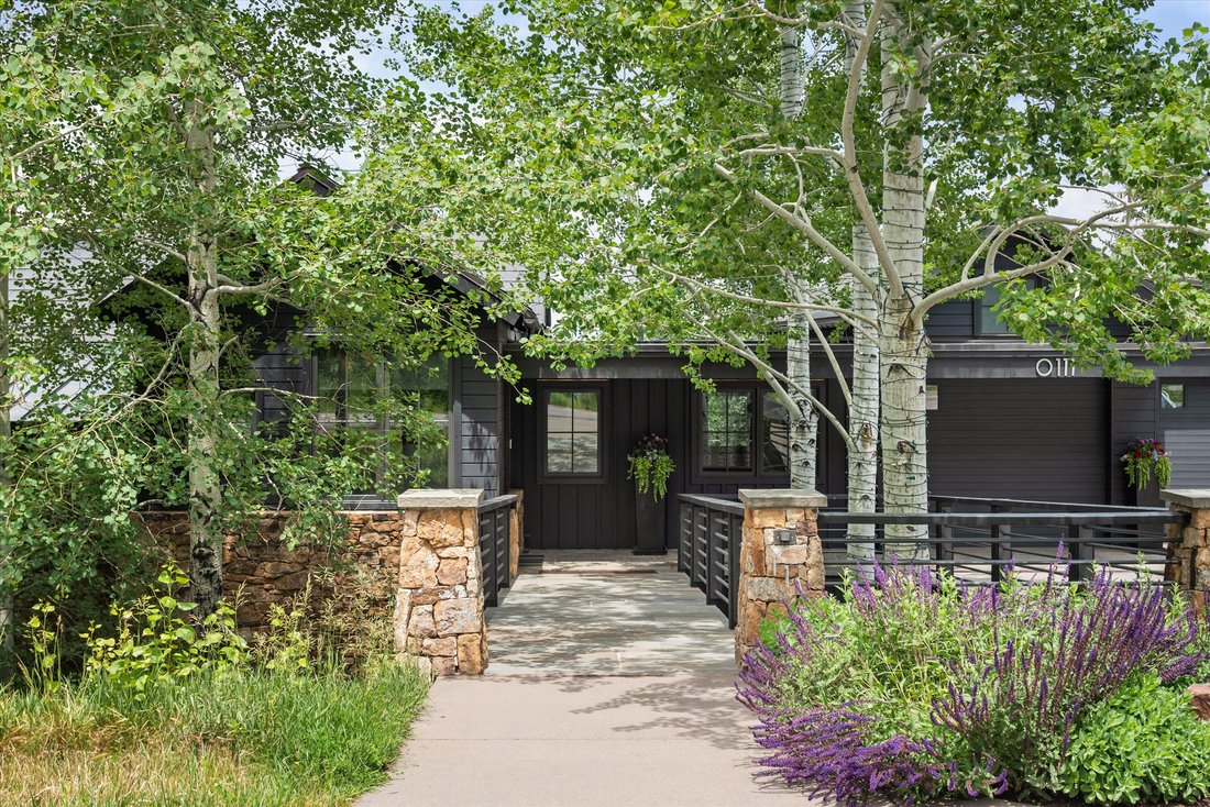 Maison à Aspen, Colorado, États-Unis 4 - 18438522