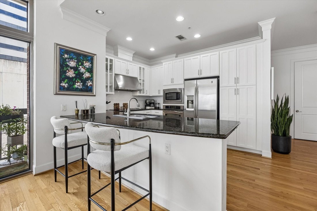 Condo in Houston, Texas, United States 5 - 18437409