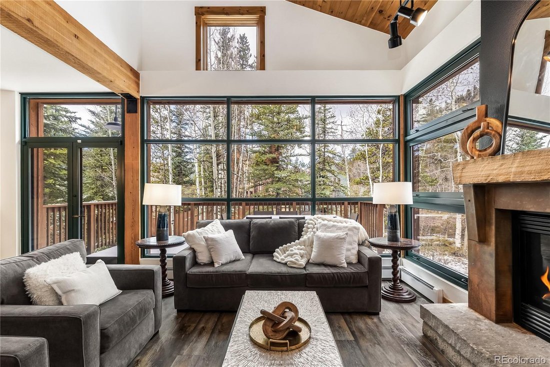 Condo in Dillon, Colorado, United States 1 - 18439027