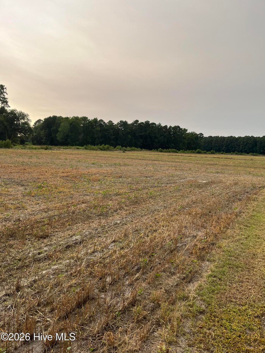 Land in Greenville, North Carolina, United States 2 - 18440534